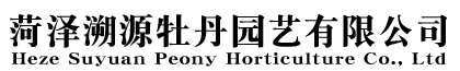 菏泽溯源牡丹园艺有限公司